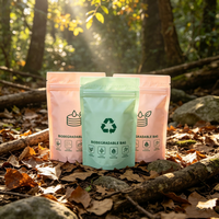 Sachet Doypack Personnalisé Biodégradable en PLA – Sac Écologique pour Emballage de Matériel de Camping, Allume-feu et Équipement d'Extérieur