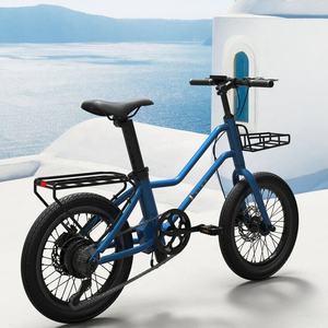 Bicicleta Eléctrica Plegable de Alta <span class=keywords><strong>Calidad</strong></span> Changzhou Hoya de 250W, 20 Pulgadas, Aleación de Aluminio, Batería de Litio, <span class=keywords><strong>Mejor</strong></span> <span class=keywords><strong>Precio</strong></span> - Product Image 6