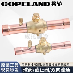 Robinet à bille Copeland 2 pouces NPT type gate pour réfrigérant et climatisation - Product Image 2