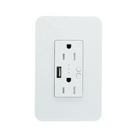 Us Standard Arbeit mit Alexa Google Home 2 Gang 3-Gang Tuya Steckdose Wifi Smart USB Wand steckdose 3-polige Buchse mit USB