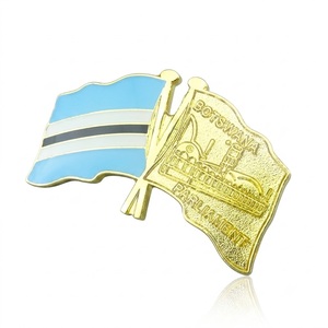 [Novità 2026] Distintivo in Metallo Personalizzato di Alta Qualità Stile Parlamento del Botswana, Spilla Personalizzata per Abiti e Uniformi Ufficiali - Product Image 3