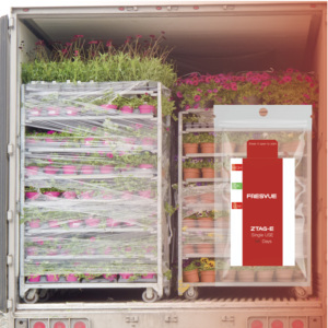 Indicador de temperatura de uso único para profissionais de saúde Data Logger fácil de usar com suporte personalizado OEM e ODM - Product Image 6