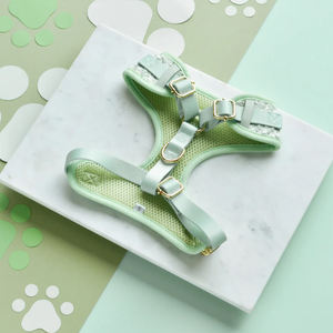 Conjunto de arnés y chaleco de collar de perro mascota ajustable sin tirones de lujo Premium de gama alta personalizado de diseñador personalizado para perros - Product Image 3