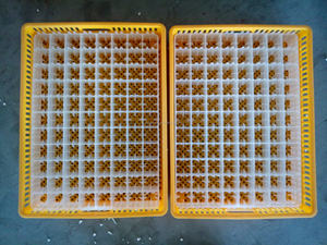 528 Inqubator Penetas Telur Mesin 500 Telur Penetasan Incubator - Product Image 2