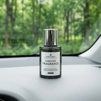 Diffuseur de parfum intelligent portable pour voiture, atomiseur de parfum automatique pour voiture, désodorisant longue durée pour véhicules