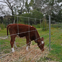 Clôture pour bétail galvanisée à chaud, clôture de champ pour animaux, grillage agricole anti-rouille pour vaches, moutons, chevaux, cerfs, enclos de pâturage