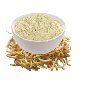 Safed <b>Extract</b> Natural Herbal Powder Chlorophytum Borivilianum Root <b>Extract</b> for Wellness and Ayurvedic Products - Product Image 3
