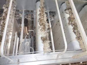 Sistema automático de raspado de estiércol de pollo para jaulas de aves de corral Equipo eficiente de tratamiento de estiércol de pollo para ganado - Product Image 3