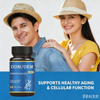 Capsules Apaisantes Nerveuses à Base de Plantes Soutien pour l'Humeur et la Relaxation Complément Alimentaire pour Adultes OEM Marque Privée Vente en Gros