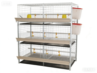 Cage à poulets de type H, cage d'élevage avicole durable, industrie avicole commerciale moderne