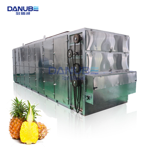 Industrial Fruit Processing Equipment Mesh Belt Fruit Dehydrator Pineapple Drying Machine - Product Image 1