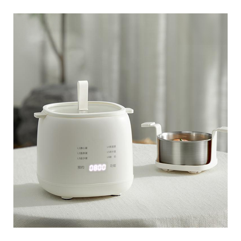 Household Rapid Egg Cooker 300W Mini