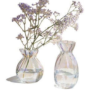 घरेलू सजावट के लिए घर के उपयोग के लिए हल्के लक्जरी और न्यूनतम ग्लास पारदर्शी vase - Product Image 1