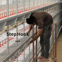 Ensemble complet d'accessoires pour cage à poulets automatique, cage empilable de type H en treillis métallique haute résistance pour l'élevage de volailles, fournisseur d'équipement