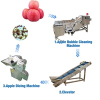 Geavanceerde fruitverwerkingslijn voor pruimen, tomaten, meloenen, mango's, ananas, appels: wassen, ventilatie-droging, sorteermachines