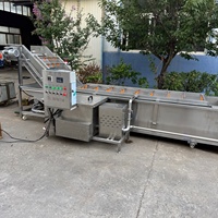 Roestvrijstalen elektrische fruit- en groentewasmachine Wortelwasmachine