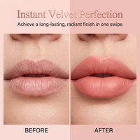 Rouge à lèvres solide hydratant minéral végétalien personnalisé HKH, tube diamanté scintillant, waterproof, nude, haute pigmentation, velours, longue tenue