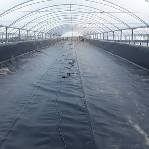 แผ่นกันซึม HDPE เกรดอุตสาหกรรม หนา 1.50 มม. สำหรับงานเหมือง ได้รับการรับรองมาตรฐาน ASTM GRI GM13 สำหรับบุกันน้ำในพื้นที่เก็บกากแร่จากการทำเหมือง - Product Image 5