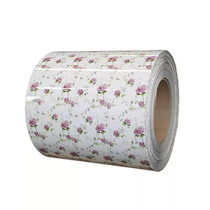 Bobine d'acier galvanisé prélaqué, épaisseur 0,4 mm, pour usage en construction - Product Image 4