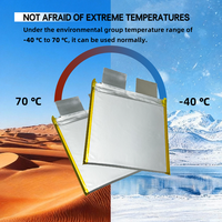 Cellule LFP 3.2V 15Ah en pochette avec languettes, débit élevé 42C, 7000 cycles, -40°C ℃ ~60 ℃   Cellules LiFePo4 en pochette 3,2 V 15000 mAh pour drone UAV