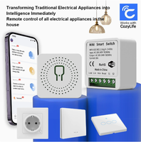 Module d'automatisation intelligent Wi-Fi 16A Mini RF433mhz DIY avec relais pour fil neutre, compatible Smart Life, Alexa, Google Home, 240VAC