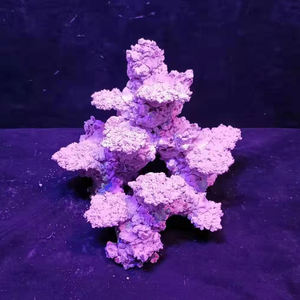 Groothandel Landschap <span class=keywords><strong>Aquarium</strong></span> Kunstmatige Coral <span class=keywords><strong>Rock</strong></span> Voor Marine Reef Tank - Product Image 4