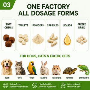 Integratore Liquido OEM ODM per Animali Domestici, Supporto Quotidiano Renale e Urinario per Cani e Gatti di Ogni Età - Product Image 3