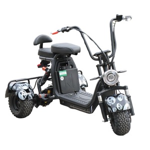 จักรยานสามล้อสำหรับผู้ใหญ่ 1000W 48V ยางกว้าง สกู๊ตเตอร์คู่ - Product Image 1