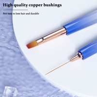 Nouveau Design Nail Art Manucure Set 4 pcs + 16 Tips Nylon/Kolinsky Hair Rose Bleu Dégradé Rétractable Manche En Plastique Brosse À Ongles
