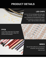 2 ans de garantie CE Rohs SMD 2835 Profilé d'extrusion de silicone étanche IP67 Fabricant de bandes lumineuses à LED pour l'extérieur