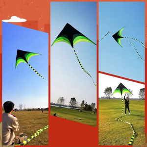 Aquilone <span class=keywords><strong>Delta</strong></span> Colorato Facile da Pilotare, Aquilone a Linea Singola per Spiaggia e Giardino - Product Image 4