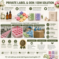 Nouveaux produits OEM pas cher cire de soja tarte fondre boîtes à clapet 6/12 cavité emballage blister pour bougies de vacances existait moule