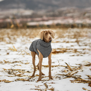 El Diseño de Felpa Es Súper Cálido y Adecuado para Actividades al Aire Libre y para Perros Medianos y Grandes en Invierno. - Product Image 3
