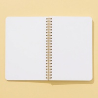 Carnet à spirale souple A5 personnalisé, couverture dégradée nacrée, papeterie créative pour les devoirs et les exercices, impression de carnets B5 personnalisés