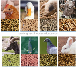 Máquina de Fabricación de Pellets de Paja de Trigo Monofásica de 2.2kw, Máquina de Pellets para Alimentación Animal, Molino de Pellets para Alimentación de Aves de Corral en Venta - Product Image 6