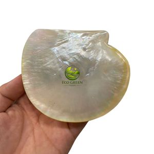 จานเปลือกหอยมุกเวียดนาม จานงานเลี้ยงสุดหรู ผลิตภัณฑ์สั่งทำพิเศษ ขนาด 8 นิ้ว แบบธรรมชาติ - Product Image 1