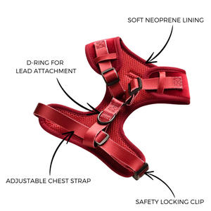 สายรัดอกสุนัข Red Velvet แบบมีเบาะ นุ่ม ระบายอากาศได้ดี ผลิตจากโพลีเอสเตอร์ ปรับขนาดได้ เหมาะสำหรับพาสัตว์เลี้ยงเดินเล่นนอกบ้าน พร้อมระบบปลดเร็ว - Product Image 3