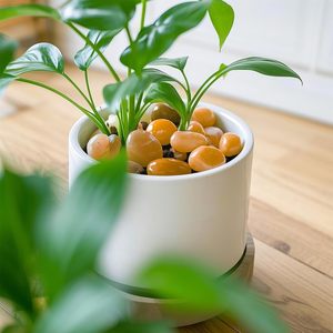 Ciottoli Gialli Lucidati <span class=keywords><strong>per</strong></span> Decorazione Vasi da <span class=keywords><strong>Giardino</strong></span>, <span class=keywords><strong>Pietre</strong></span> Rotonde Lisce di Colore Giallo al Miglior Prezzo <span class=keywords><strong>per</strong></span> Acquari - Product Image 5