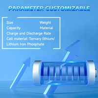 Batterie LiFePO4 48V 55Ah pour tricycle électrique, haute capacité, vente en gros rapide, OEM ODM personnalisé