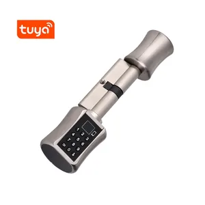 OEM Digital Keypad Finger abdruck griff Passwort Smart Deadbolt Knob Key Keyless Metall Tuya Tür zylinders chloss für Metall Dool nach Hause