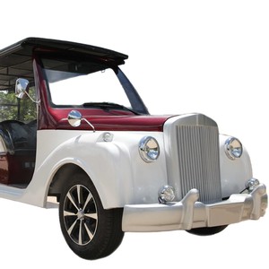Vehículo Turístico Eléctrico de 9 Plazas para Uso en Parques y Resorts - Product Image 5