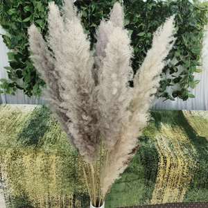 <span class=keywords><strong>Grand</strong></span> <span class=keywords><strong>vase</strong></span> <span class=keywords><strong>à</strong></span> fleurs de <span class=keywords><strong>pampa</strong></span> pour décoration de maison XL, arche de mariage, fleurs de pompas, gris, naturel, véritable herbe de <span class=keywords><strong>pampa</strong></span> - Product Image 5