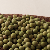 Soja vert de soja sec chinois sans OGM