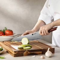 Ultrazachte professionele Starred Chef co-branded 10 inch Bunka messen Damascus poederstaal ergonomische handgreep