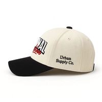 Gorra de Béisbol de 5 Paneles Personalizada de Alta Calidad, 100% Algodón, Diseño de Lujo con Bordado 3D, Patrón de Leopardo/Puntos, Unisex, Visera Curva