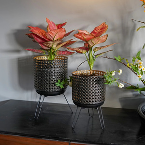 Novedad en Stock: Soportes Metálicos Vintage de Hierro Forjado para Plantas, Estantes de Exhibición para Macetas y Almacenamiento para Hogar y Jardín - Product Image 5