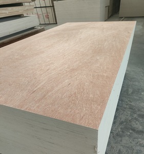 Madera Contrachapada de Bintangor al por Mayor, 12mm/15mm/18mm, <span class=keywords><strong>Precio</strong></span> Económico, <span class=keywords><strong>Calidad</strong></span> Estándar Europea - Product Image 2