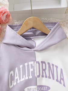 Gran oferta de ropa para niñas y niños, conjuntos de chándal multicolor, conjuntos de ropa para niños, trajes de otoño - Product Image 3