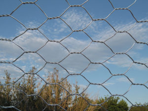 Fabricant en gros de treillis soudé hexagonal en fer galvanisé à faible teneur en carbone - Product Image 1