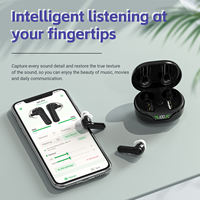 Audífonos Digitales TWS Recargables con Reducción de Ruido Programable para Sordera Severa en Adultos, Mini Auriculares Inalámbricos OEM ODM